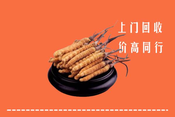 收购行情：海南琼海市冬虫夏草回收多少钱每克